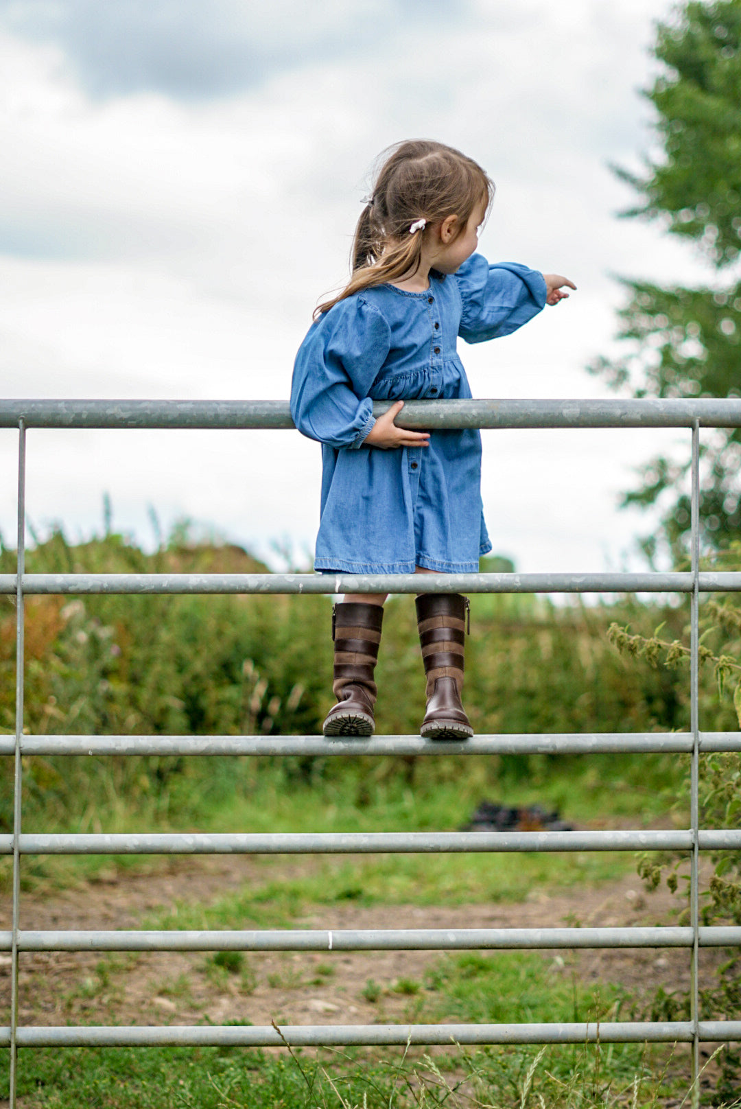 Brown Country Boots