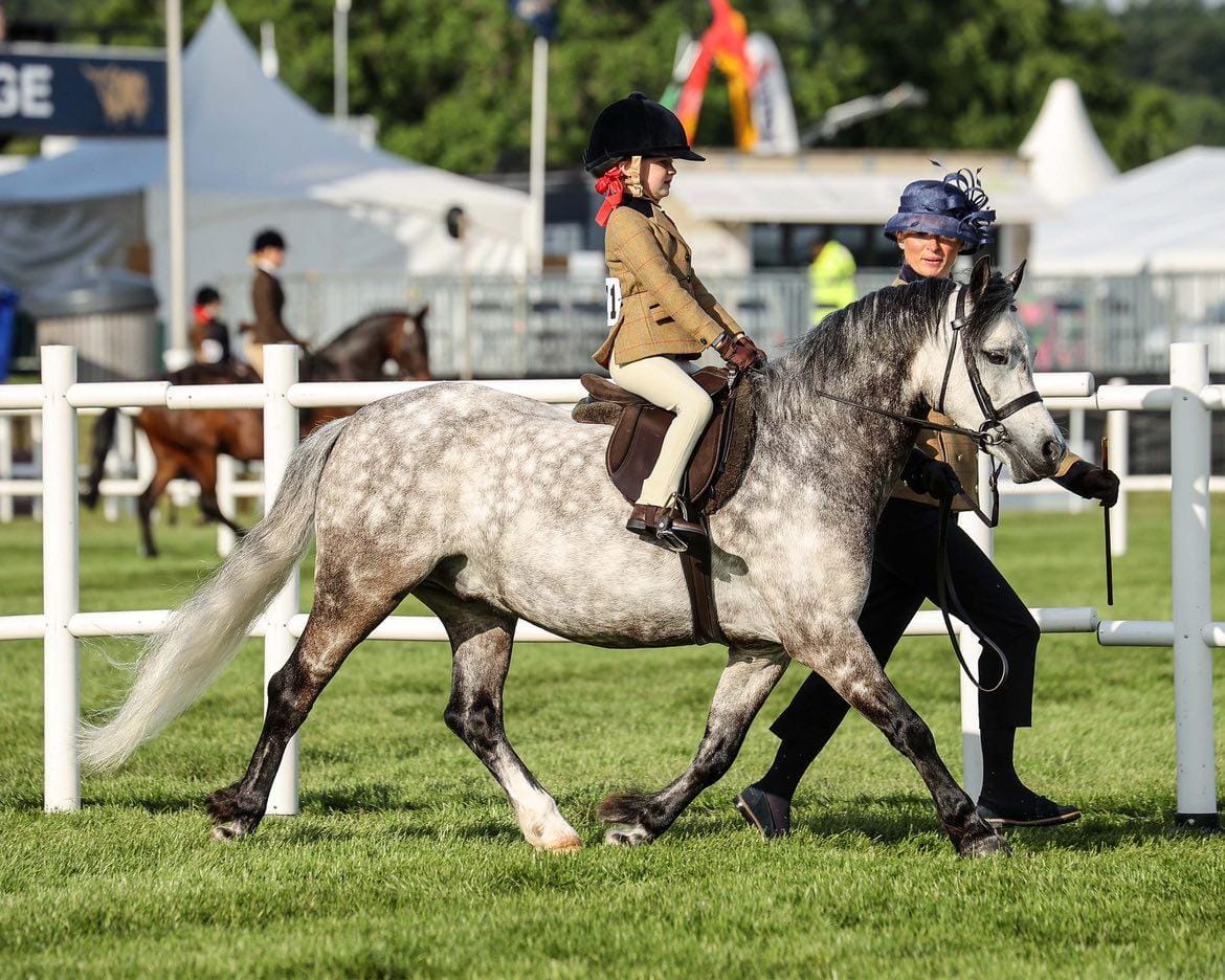 Show jumping boots hot sale for rider