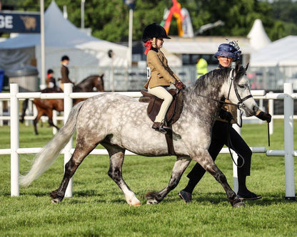 Brown Riding Boots with Zips